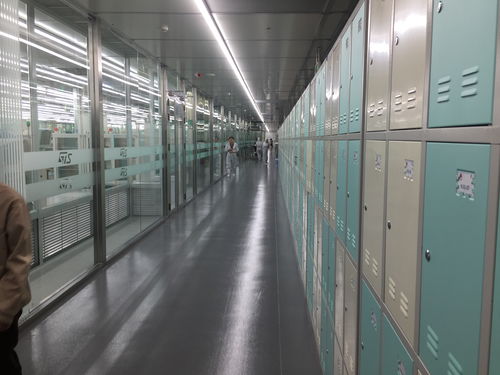 辦公場(chǎng)景下各類智能存儲(chǔ)柜選擇指南 指紋柜、一卡通柜、人臉識(shí)別柜、寄存柜與存儲(chǔ)柜對(duì)比